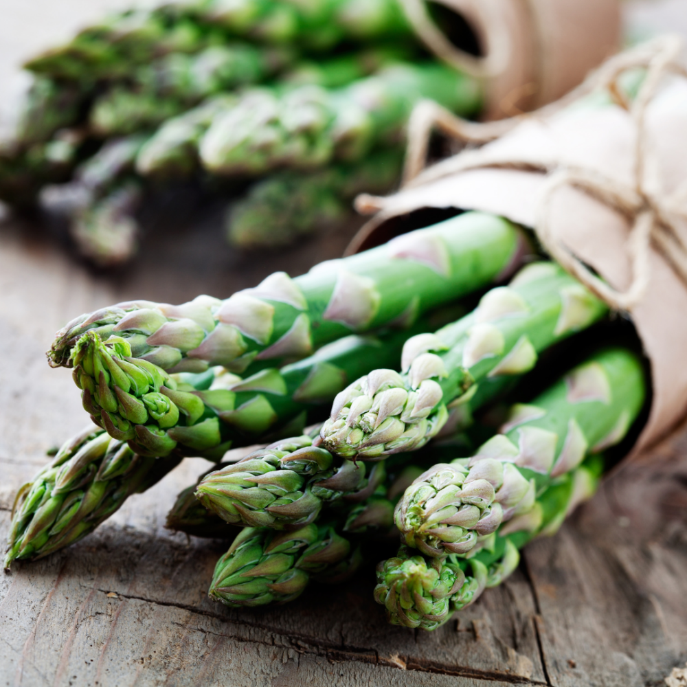Spargel