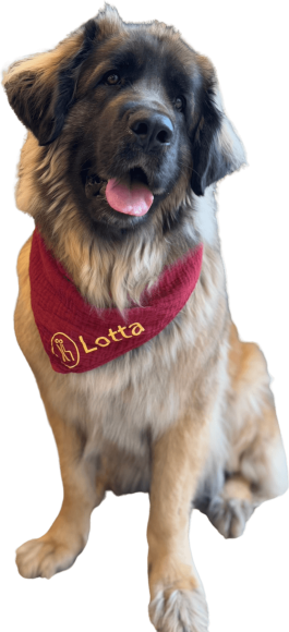 lotta lotta